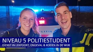 POLITIE | DIENST MET EEN COLLEGA IN OPLEIDING | KOEIEN IN DE WIJK | ONGEVAL & MEER