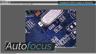 How to: Use Autofocus for Dino-Lite microscopes with EDOF