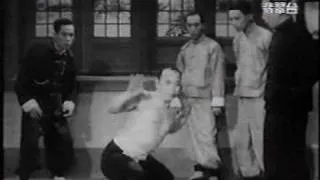 Chan Honjung 陳漢宗 performs various techniques of Hung Ga Kyun 洪家拳