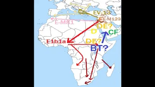 Y dna DE; E1b1a, E1b1b and D migrations