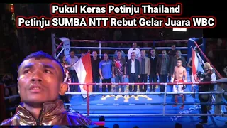 Pukulan Keras Petinju Indonesia Asal Sumba Timur NTT Habisi Lawannya