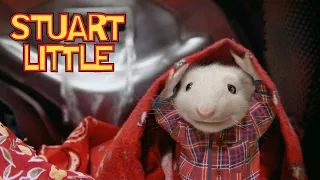 Stuart's New Family And His Ultimate Adventure! | Stuart Little