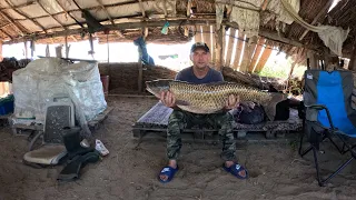 Рыбалка в Дельте Или. Белый Амур на камыш. Первый Амур пойман и сразу трофей.