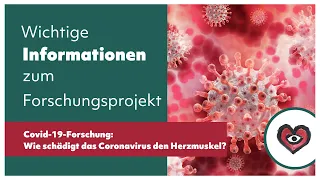 Covid-19-Forschung: Wie schädigt das Coronavirus den Herzmuskel?