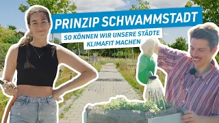 Prinzip Schwammstadt - So können wir unsere Städte klimafit machen | CO2-Klimareportage
