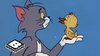 Tom and Jerry | Quacker's Fall | Boomerang Official