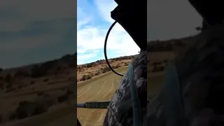 Hunting Hogs from the Helicopter