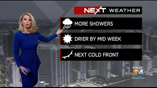 NEXT Weather - Miami + South Florida Forecast - Monday Evening 11/21/22