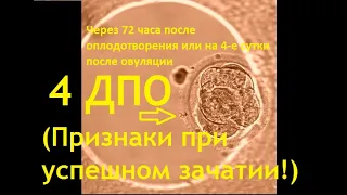 🔔👆 4 ДПО день после овуляции при возможной беременности. Ощущения и что с эмбрионом. Графики БТ!