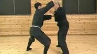 Koto Ryu Koppojutsu - Hatsumi Sensei - Bujinkan Dojo  Ninjutsu (Ninja)