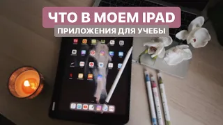 Приложения для учебыＩСтоит ли покупать iPad?