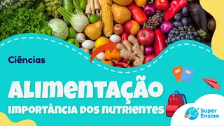 ALIMENTAÇÃO - Importância dos nutrientes | Ciências 5º ano