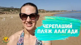 Черепаший пляж на Северном Кипре в 40 минутах от Русского Квартала (Кирения, Фамагуста, Искеле)