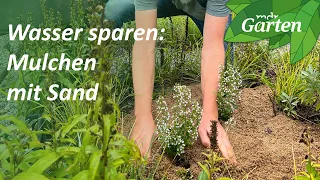 Mulchen mit Sand | MDR Garten