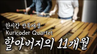 [1 Hour Repetition] Grandpa's 11 Months ( -11ヶ月) - Curicorder Quartet - Pulse Marimba Cover