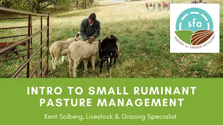 Intro to Small Ruminant Pasture Management