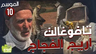 ✅ Amouddou TV 153 Tafoughalt 02 أمودّو / تافوغالت، أريج الفجاج