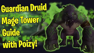 Dragonflight Guardian Druid Mage Tower Guide | Fel Werebear Form