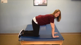 Exercises for the pelvic floor and core in pregnant women