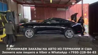 Две Хонда Сивик,  BMWi3, Форд Мустанг. Погрузка в контейнер. Порт Нью-Джерси