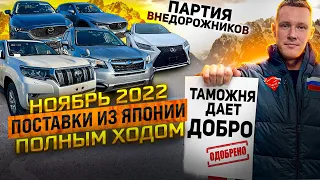 Ноябрь - Забираем всё с таможни! Приход КРОССОВЕРОВ из ЯПОНИИ❗️ЦЕНЫ 💰PRADO | LEXUS RX | FORESTER