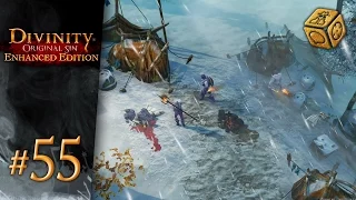 I don't even - Let's Play Divinity: Original Sin - Enhanced Edition #55