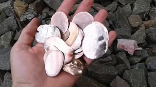 Running train back and forth over coins crushing them