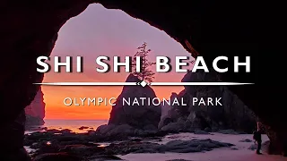 Shi Shi Beach and Point of the Arches - Washington State