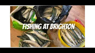 #101 Fishing At Brighton ￼