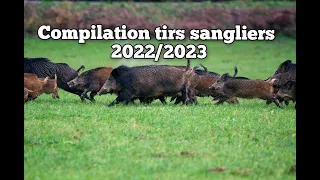 ☆54 tirs - compilation tirs sangliers best of 2022/2023☆