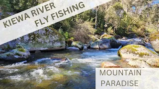 Fly Fishing Paradise: Exploring the Pristine Waters of the Kiewa River in Mt Beauty Victoria