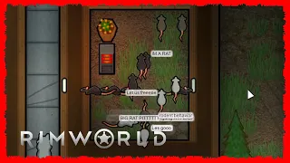 Charborg Streams - RimWorld: Let's make a cult full of chat members