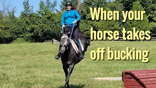 When your horse takes off bucking... what to do, not to do, and working through