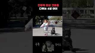 전투력 최상위 대형견 카네크로소가 4살짜리의 말을 들어줄까!?