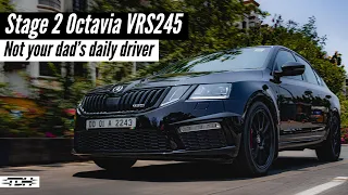 Stage 2 Octavia VRS245: Not your dad's daily diesel Skoda Octavia | Autoculture