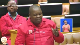 Chaos In Parliament AGAIN. EFF vs ANC and  David Mahlobo