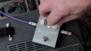 Source Audio True Spring Reverb Pedal Demo