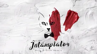 The Motans - Intamplator | Arty Violin Remix