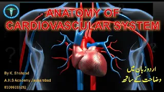 Cardiovascular system in Urdu