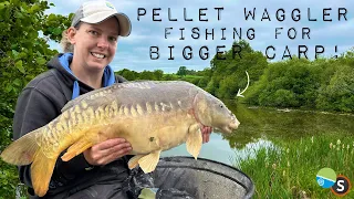 Pellet Waggler Fishing for Big Carp