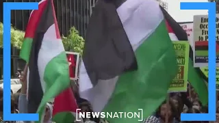 Why Palestinian support is growing during Israel conflict | Morning in America