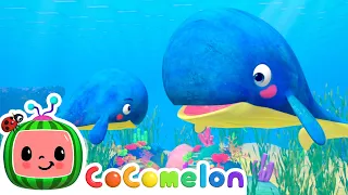 Mom and Baby Whale Lullaby | CoComelon | Sing Along | Nursery Rhymes and Songs for Kids