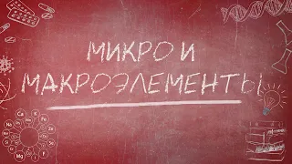 Микро и макроэлементы