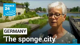 'The sponge city': Berlin is striving to absorb and collect rainwater • FRANCE 24 English
