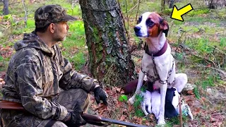 Jäger fand Hund mit Welpen an Baum angebunden. Als er näher hinsah, brach er in Tränen aus!