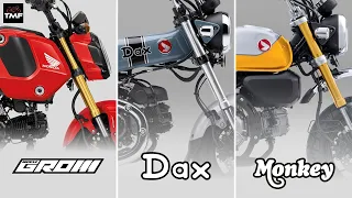 Battle of the Minis! - Honda Monkey v Dax v Grom:Which will reign supreme? 4K