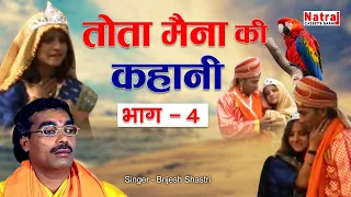 दुनिया की सबसे दर्द भरी कहानी | Tota Maina Ki Kahani Bhag - 4 | Old Story | Natraj Cassette Barhi