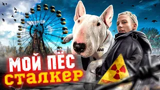 ☢ СТАЛКЕР ПЕС ! ПРОНИКЛИ В ПРИПЯТЬ С ДОМАШНЕЙ СОБАКОЙ ВПЕРВЫЕ ЗА 35 ЛЕТ !