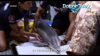 DOLPHIN TALE 2 - "Trailer Cutdown" TVC - In Cinemas 2 October