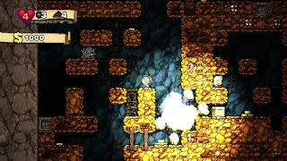 Spelunky HD Damsel kill speedrun WR